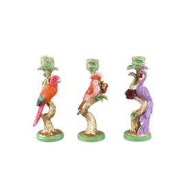 725162 | Ziyan parrot candleholder - orange | PTMD