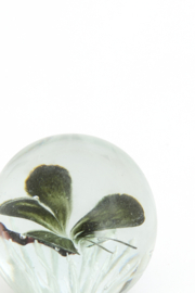 7622312 | Ornament Ø8x8 cm BUTTERFLY - glas zwart/groen | Light & Living