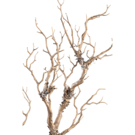 722663 | Twig tree spray - brown | PTMD