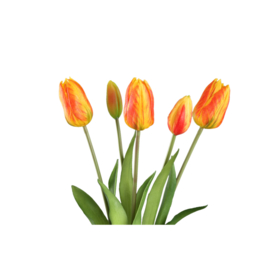 726211 | Tulip flower bush long (5psc) - orange | PTMD