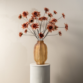 736752 | Dahlia 5 flowers - peach | PTMD