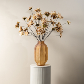 736753 | Dahlia 5 flowers  - beige | PTMD
