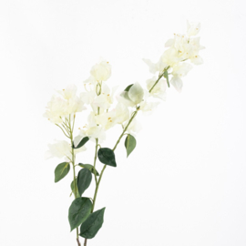 BZ8788 | Kunsttak Bougainville 105cm - beige | HomeBound by KY