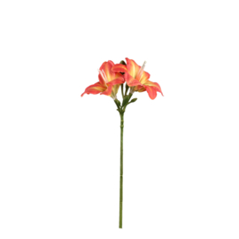 725886 | Amaryllis flower spray - orange | PTMD