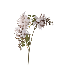 734186 | Garden flower cardinal - cream | PTMD