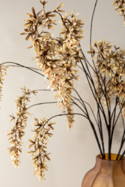 736755 | Flower hanging wisteria - cream | PTMD
