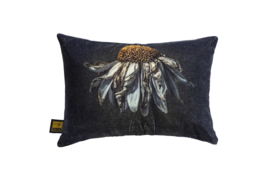 713170 | Hava pillow daisy flower L - velvet black | PTMD 