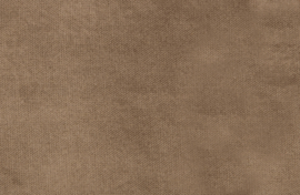 800542-12 | Rodeo bank 2,5-zits - velvet taupe | BePureHome