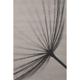 733034 | Nimrod painting dandelion small - grey | PTMD