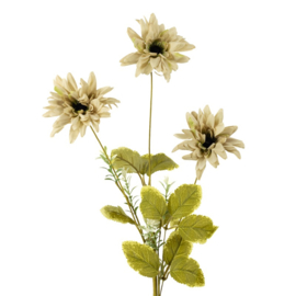 BZ2869 | Veldboeket rudbeckia 79cm - beige | HomeBound by KY