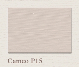 P15 Cameo - Matt Lak 0.75L | Painting The Past