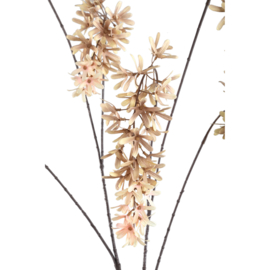 736755 | Flower hanging wisteria - cream | PTMD
