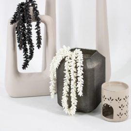 RP3515 | Erwten plant - cream | HomeBound by KY