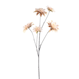 736753 | Dahlia 5 flowers  - beige | PTMD