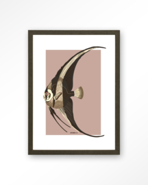 Art Print - Mola Mola | Urban Cotton