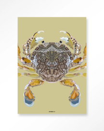 25281 | Art Print - Matuta | Urban Cotton