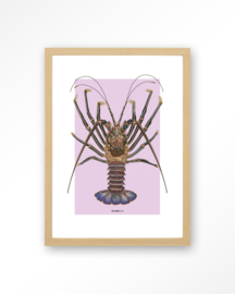 Art Print - Langosta | Urban Cotton