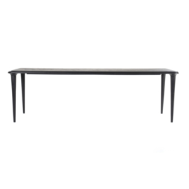 95762 | Eettafel Jiska 300x100 - zwart | Eleonora