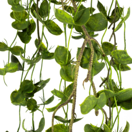 KR5359 | Kunsttak hangend hedera 150cm | HomeBound by KY