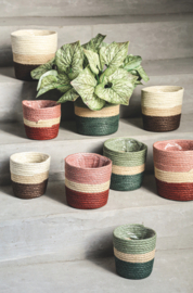 720649 | Tyro paper rope pots set/3 - multi green | PTMD 
