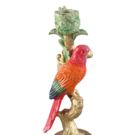 725162 | Ziyan parrot candleholder - orange | PTMD