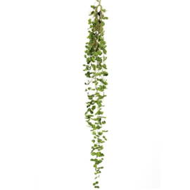 KR5359 | Kunsttak hangend hedera 150cm | HomeBound by KY