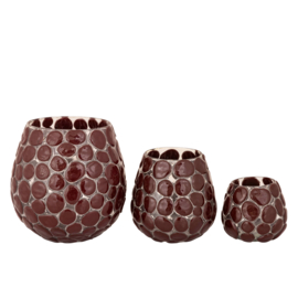 735946 | Stell dotted stormlight S - burgundy | PTMD - Binnenkort weer verwacht!