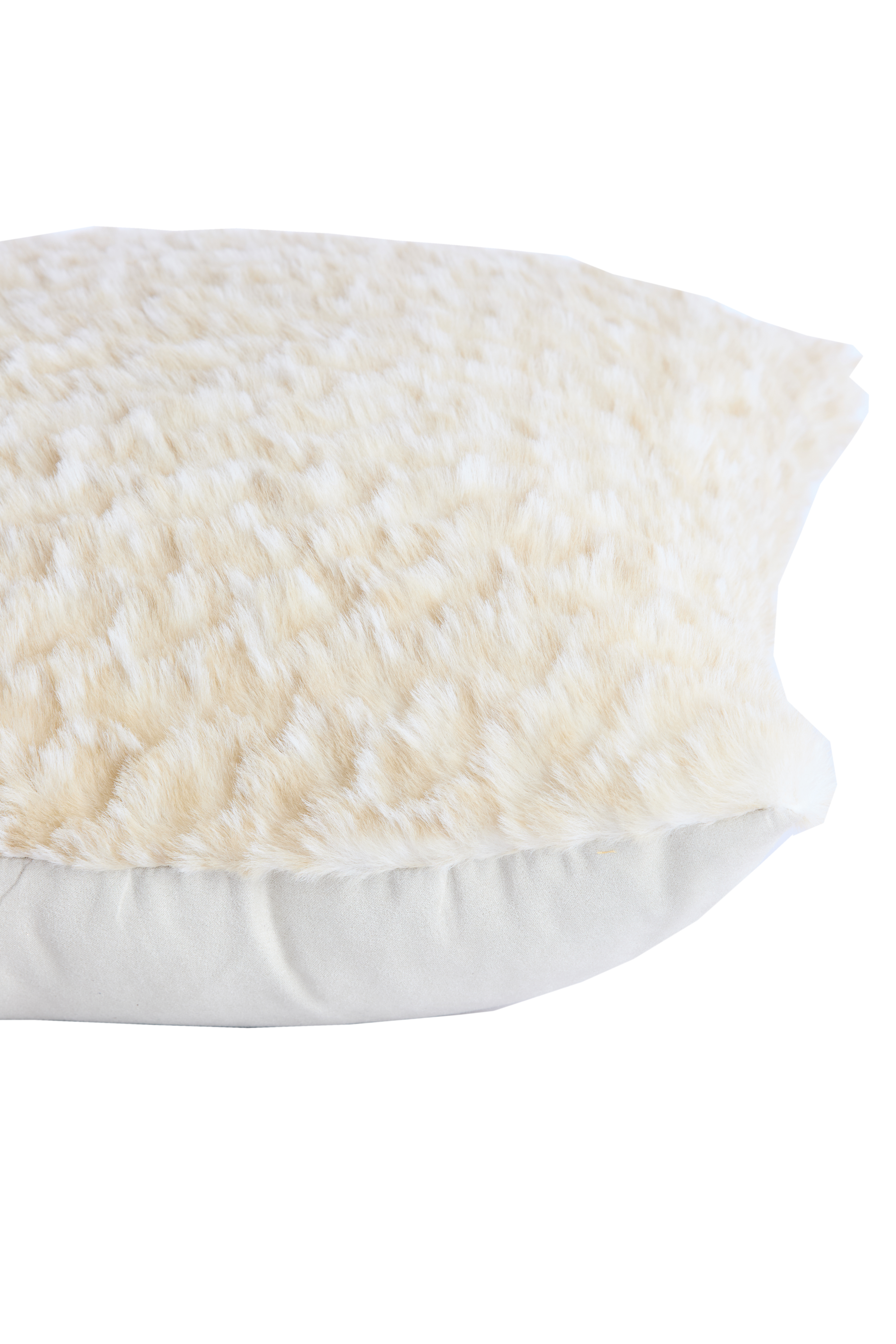 6885976 | Kussen 45x45 cm MODRA - crème/licht groen | Light & Living