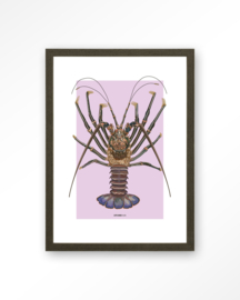 Art Print - Langosta | Urban Cotton