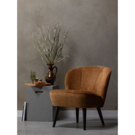 375690-TC | Sara fauteuil - structure velvet cognac | WOOOD
