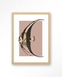 Art Print - Mola Mola | Urban Cotton