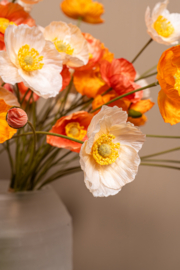 733906 | Poppy flower bundle - orange | PTMD