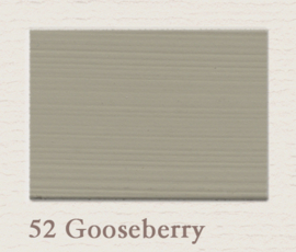 52 Gooseberry - Matt Lak 0.75L | Painting The Past