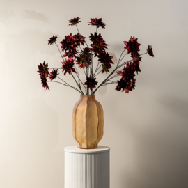 736754 | Dahlia 5 flowers - burgundy | PTMD