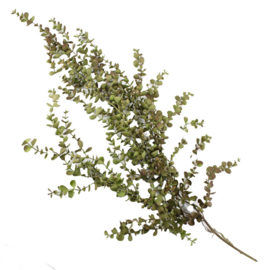 BZ7211 | Kunsttak eucalyptus hangend - groen | HomeBound by Kolony