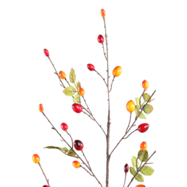 723545 | Berry plant spray with leaves - orange | PTMD