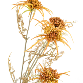 BZ6360 | Distel - oranje | HomeBound by KY