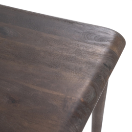 95761 | Eettafel Jiska 300x100 - bruin | Eleonora