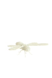 7614943 | Ornament 24x14,5x5,5 cm CICADA - crème | Light & Living