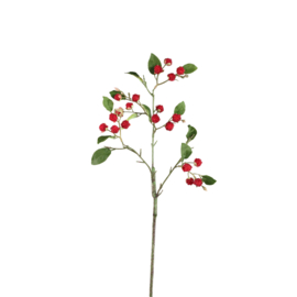 726660 | Leaves plant raspberry spray with leaves - red | PTMD
