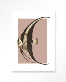 Art Print - Mola Mola | Urban Cotton