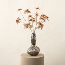 736075 | Garden flower poinsettia spray - champagne | PTMD - Binnenkort verwacht!