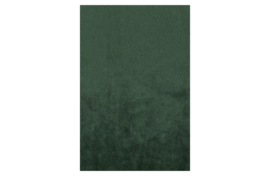 800541-162 | Rodeo fauteuil - velvet green forest | BePureHome