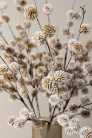 736842 | Twig plant pine ball spray - light brown | PTMD - Verwacht in oktober!