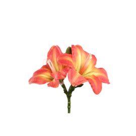 725886 | Amaryllis flower spray - orange | PTMD