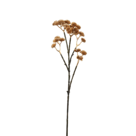 705594 | Succulent Plant gold sedum spray | PTMD