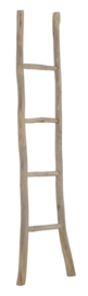 ML 801900 | MUST Living Ladder Must Have | DTP Interiors - alleen afhalen