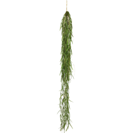 825010260 | Hanging sprengeri bush 94cm | Isaa