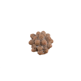 734643 | Yosiel pine cones ball statue S - brown | PTMD