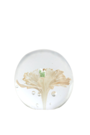7621495 | Ornament Ø8x8 cm FLOWER - glas crème | Light & Living